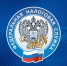 Декларационная кампания 2026 года близится к завершению. - Администрация Кулундинского района
