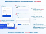 Об оценке качества предоставления государственных услуг.